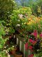 070802_8.jpg