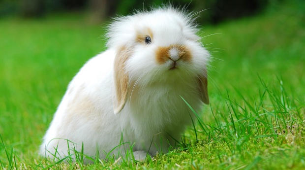 ������� ������� ������� ���� �������� ���������� ��������� ������ ������ ���������� ������ 