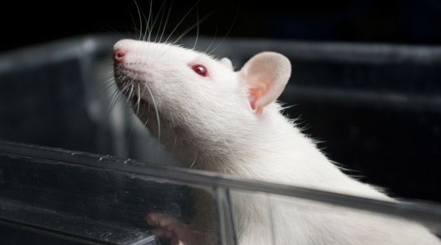 ����� ������������ �������� ������ �������� ������ ������������ ����� ���� �������� ������� ��������� 