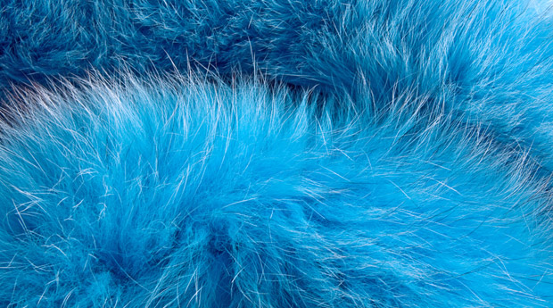 ���� ��� ��������� ����� ���� ������� ������� ������ ������� ���� 