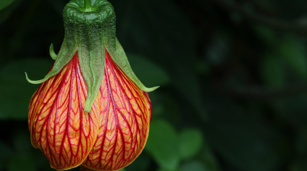 ������ ������� ����� ����� �������� ������ ����������� ��������� ����� 