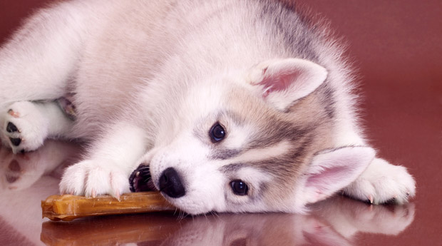 ����� ������ ������ ����� ������ 