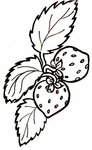 Strawberry.jpg
