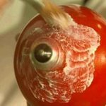 ���������� ������� ����� ����� ������