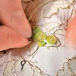 ��������� �������� ��������� ������